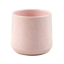 Hello Kitty X Erin Condren Special Edition Box Set